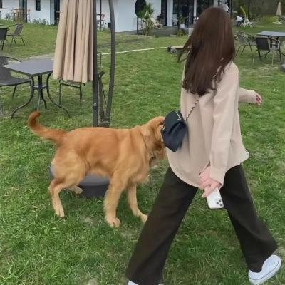 大象家族