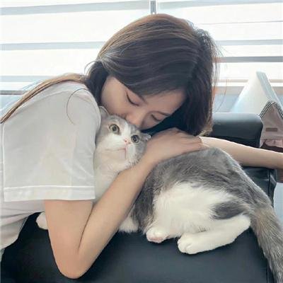 猫咪后院之家
